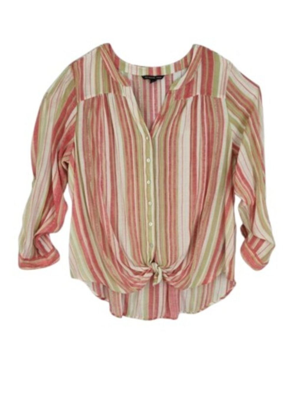 Zac & Rachel Woman Pink Sage Striped Blouse 2X